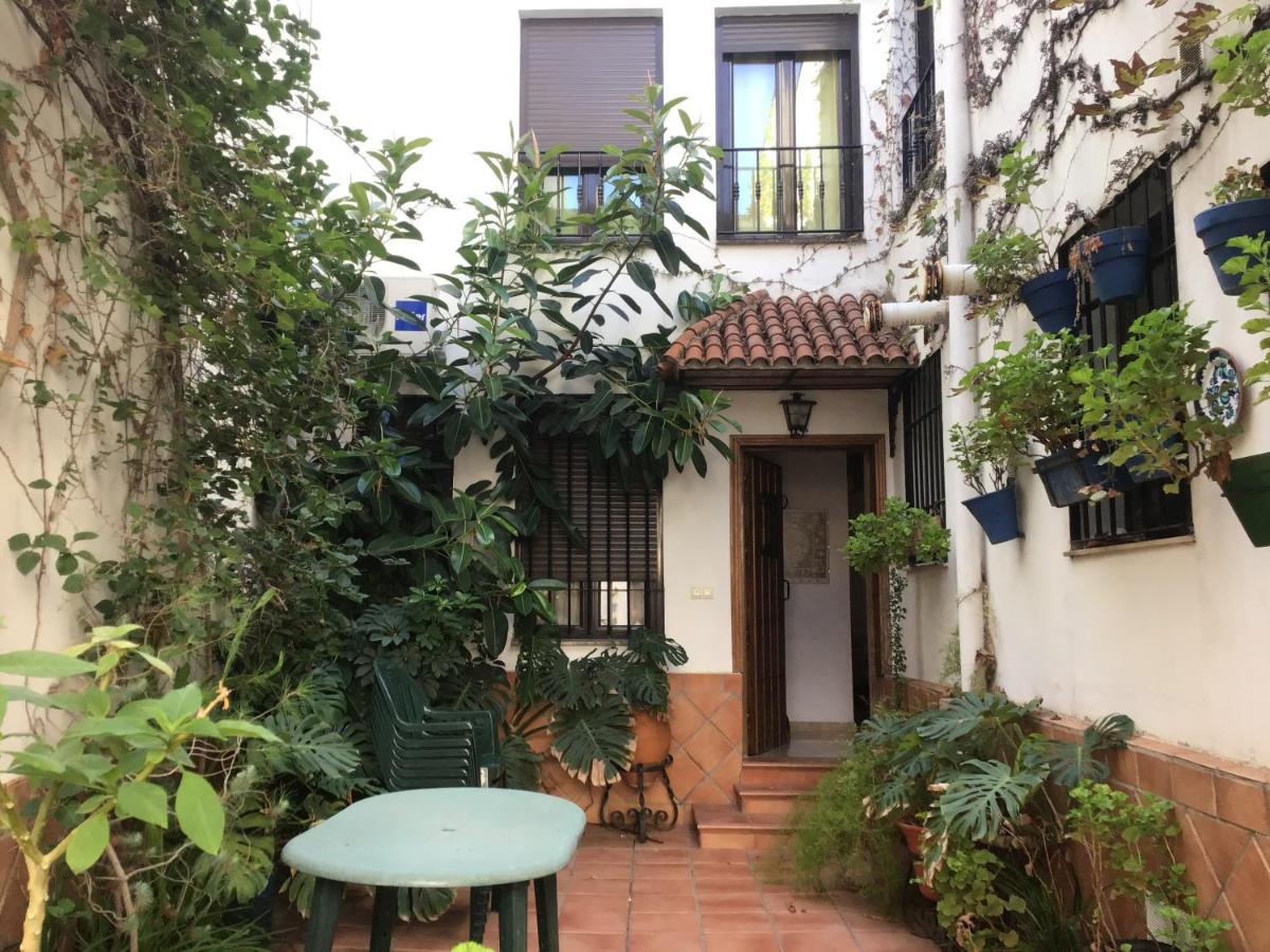 Vila El Rinconcito De La Juderia Córdoba Exteriér fotografie