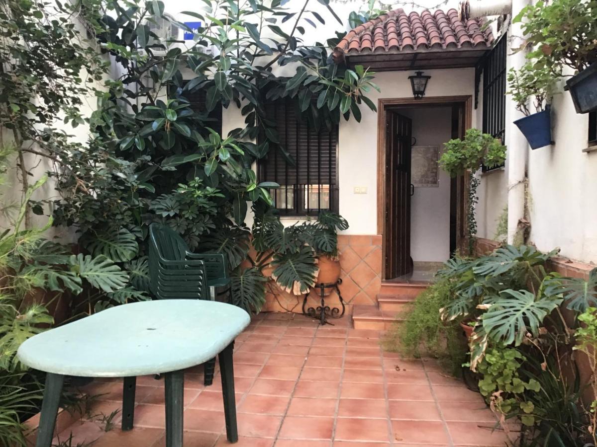 Vila El Rinconcito De La Juderia Córdoba Exteriér fotografie